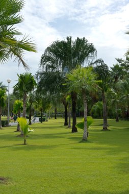 yeşil bahçe manzaralı ve geçit Park