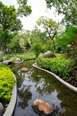 arka bahçesinde Havuz peyzaj