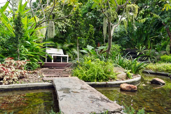 裏庭の池の風景 — ストック写真