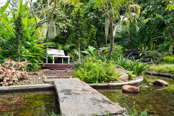 后院池塘景观 免版税图库图片