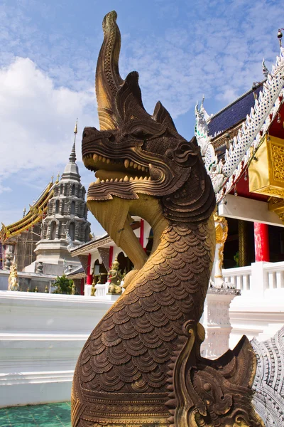 Naga staircase in Wat Banden,hiangmai Thailand Royalty Free Stock Photos