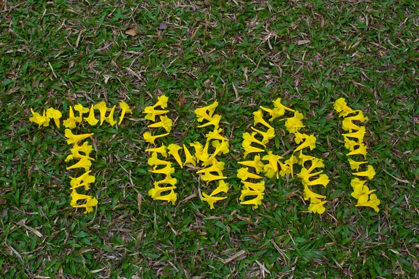 Thai Form Golden tree flowers — Stock Photo, Image