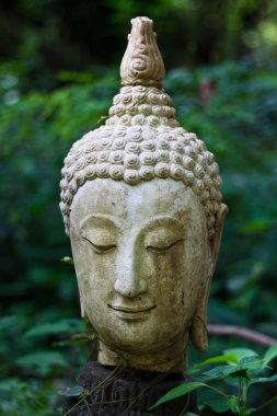 wat umong chiangmai Buda kafa kafa