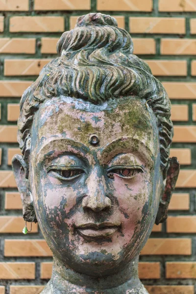 Head Buddha head In Wat Umong Chiangmai — Stock Photo, Image