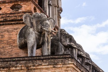 fil heykeli, wat chedi luang Tayland tapınak