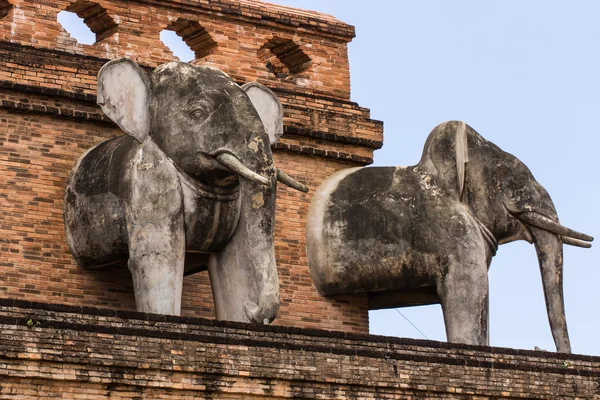 Posąg słonia, świątyni wat chedi luang w Tajlandii — Zdjęcie stockowe