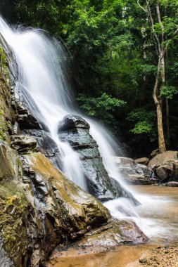 Tad mork su düşmek maerim, chiangmai, Tayland