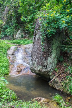 Katarakt hauykeaw şelale, DOI suthep pui nationnal park ,