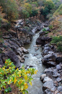 op akciğer Milli Parkı, chiangmai, Tayland