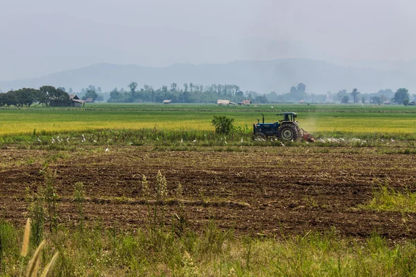 Traktöre buğday tahıl alanları plowing tarım — Stok fotoğraf