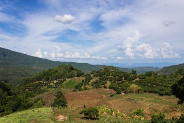 Siper al ve hmong chiangmai ili dağ çiftlik