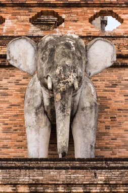 fil heykeli, wat chedi luang Tayland tapınak