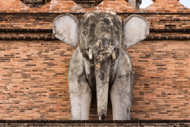 fil heykeli, wat chedi luang Tayland tapınak
