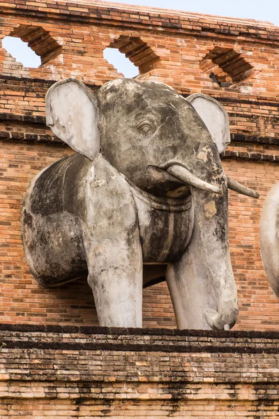 Posąg słonia, świątyni wat chedi luang w Tajlandii — Zdjęcie stockowe