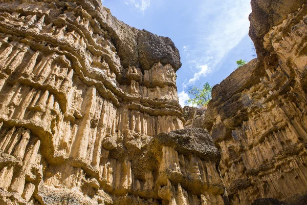 Phachor στο doi lo chiangmai, grand canyon εθνικό πάρκο, Ταϊλάνδης — Φωτογραφία Αρχείου