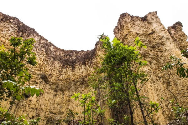 Kew Sue Ten in Doi Lo Chiangmai , Grand Canyon National Park — Stock Photo, Image