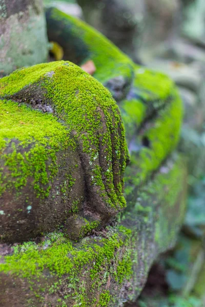 Buda wat umong chiangmai el