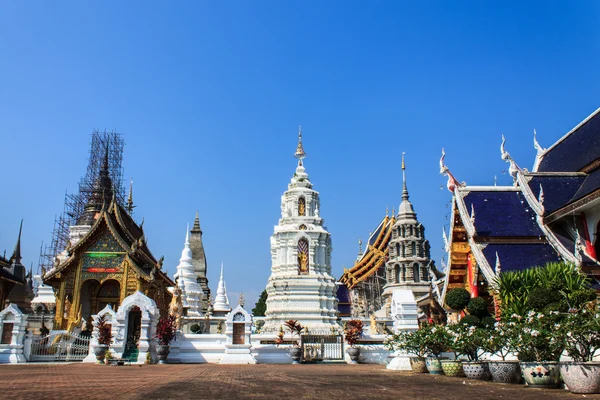 Ubosot en chedi in wat verbod den, maetang chiangmai Thaise tempel — Stockfoto