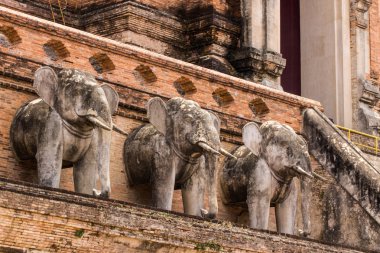 fil heykeli, wat chedi luang Tayland tapınak