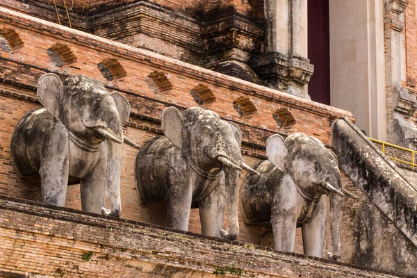Fil heykeli, wat chedi luang Tayland tapınak — Stok fotoğraf