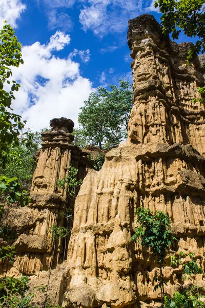 Phachor en Doi Lo Chiangmai, Parque Nacional del Gran Cañón, Tailandia —  Fotos de Stock