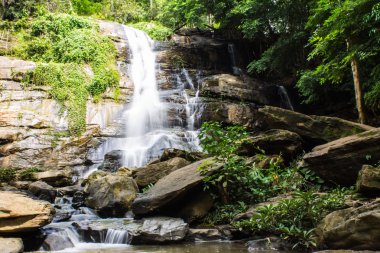 Tad mork su düşmek maerim, chiangmai, Tayland