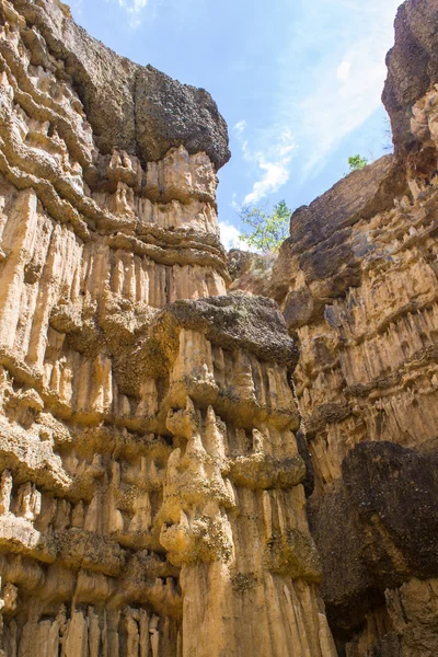 Phachor στο doi lo chiangmai, εθνικού πάρκου grand canyon, thail — Φωτογραφία Αρχείου