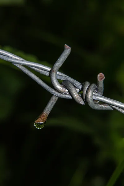Släpp form taggtråd — Stockfoto