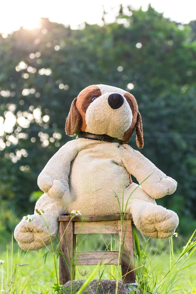 Stoffhund im Gras — Stockfoto