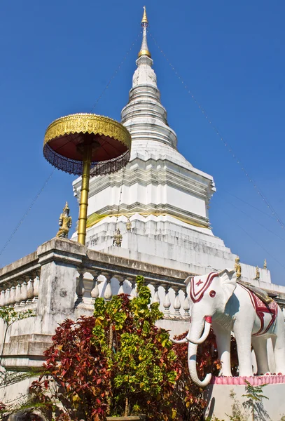 Chedi w wat doi mon chang — Zdjęcie stockowe