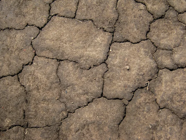 Texture of cracked soil — Stock Photo, Image