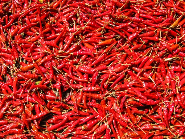 Peperoncino rosso essiccato — Foto Stock