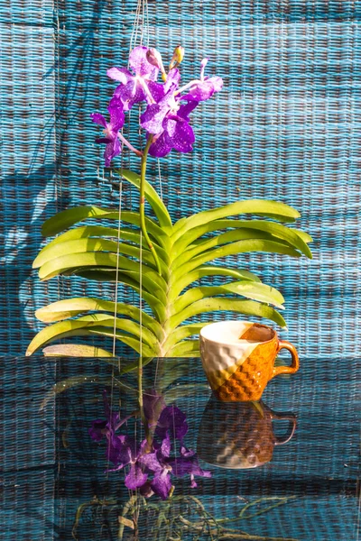 Bodegón taza de café blanco púrpura orquídea Vanda —  Fotos de Stock