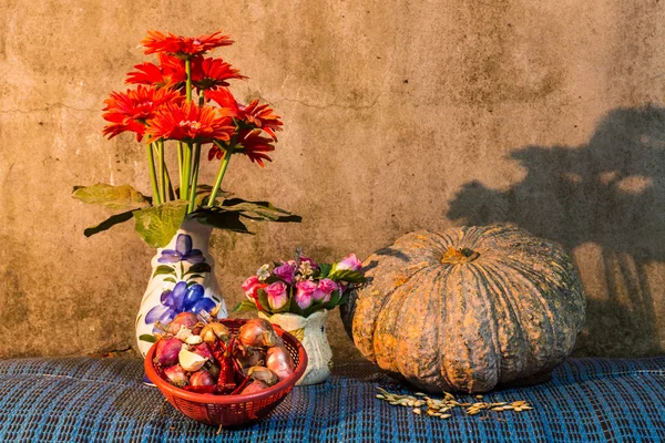 Bodegón: calabaza, chile seco, chalotas y ajo, calabaza —  Fotos de Stock