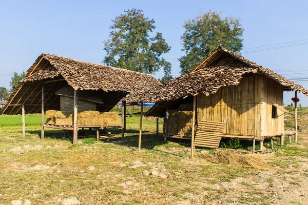 Old Thai House , Lanna Style — Stock Photo, Image