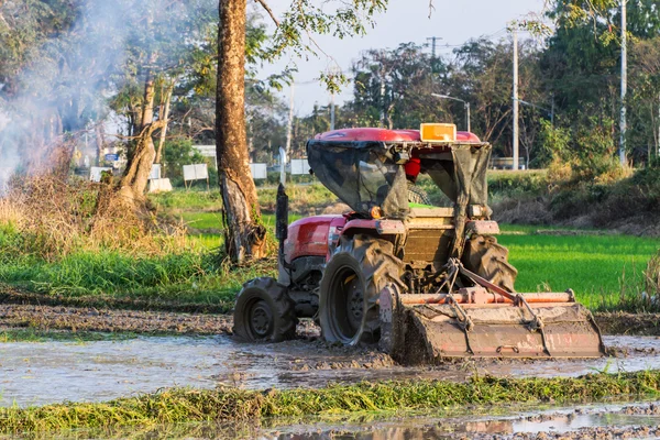 Traktor připravuje neloupané rýže, zemědělství v thajštině — Stock fotografie