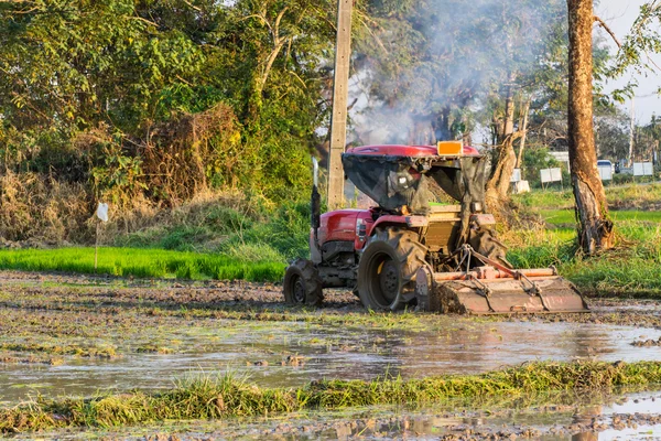 Traktor připravuje neloupané rýže, zemědělství v thajštině — Stock fotografie