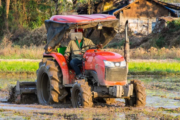 Traktor připravuje neloupané rýže, zemědělství v thajštině — Stock fotografie