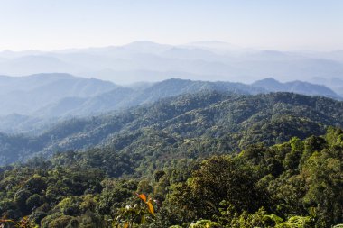 sabah görünümünden dağ, pha daeng Milli Parkı chiangmai