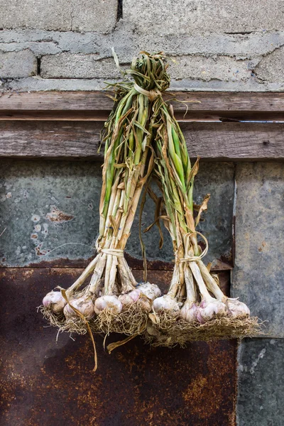 Garlic Hanging — Stock Photo, Image