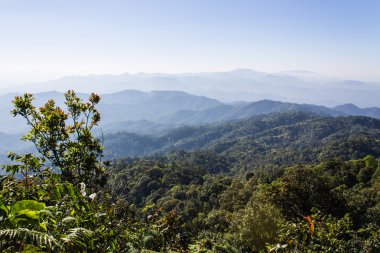 sabah görünümünden dağ, pha daeng Milli Parkı chiangmai