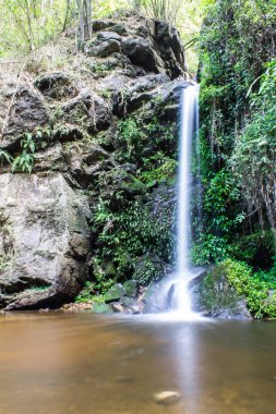 Mon tha DOI suthep - pui Milli Parkı, chiangmai şelale daha