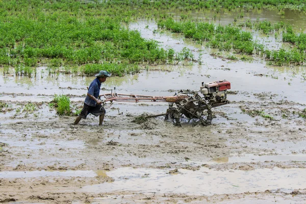 Azië landbouwproducent met gebruikmaking van de helmstok trekker in rijst veld — Stockfoto