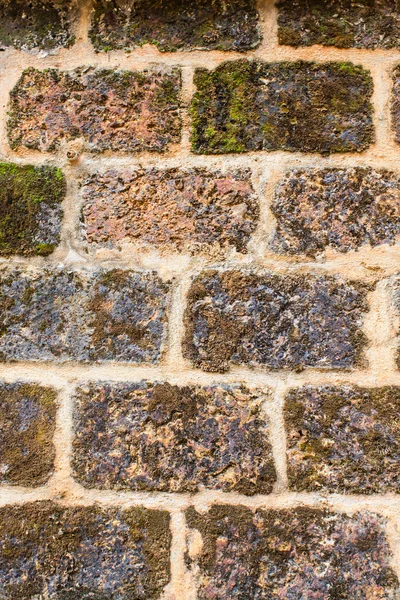 Mur en pierre latérite, texture — Photo
