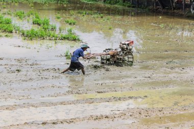 Asya çiftçi Tiller traktör pirinç alanı kullanma