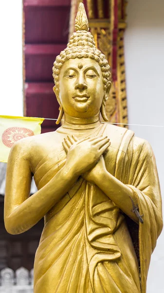 Statua Thai Golden Buddha in piedi — Foto Stock