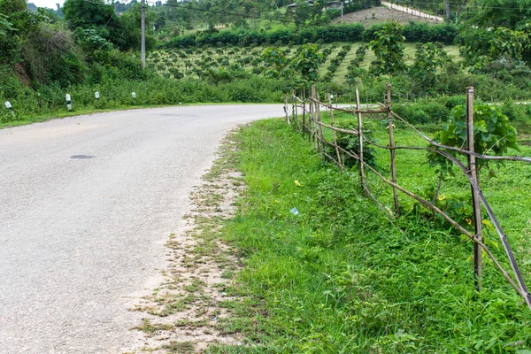 Cave on the road countryside, North of Thailand — Stock Photo, Image