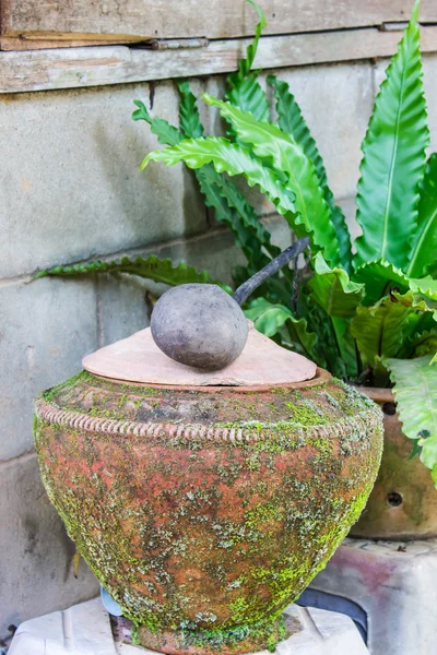 Глиняний горщик на питної води є Тайська спосіб життя, Ланна стиль — стокове фото