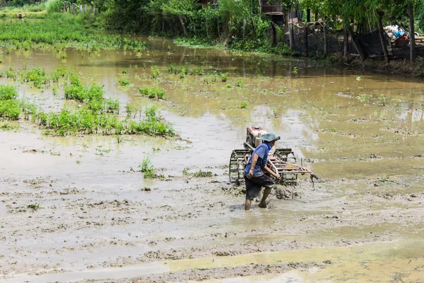 Ásia Farmer usando trator de leme no campo de arroz — Fotografia de Stock