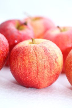 taze kırmızı sulu doğal elma izole beyaz zemin üzerine 
